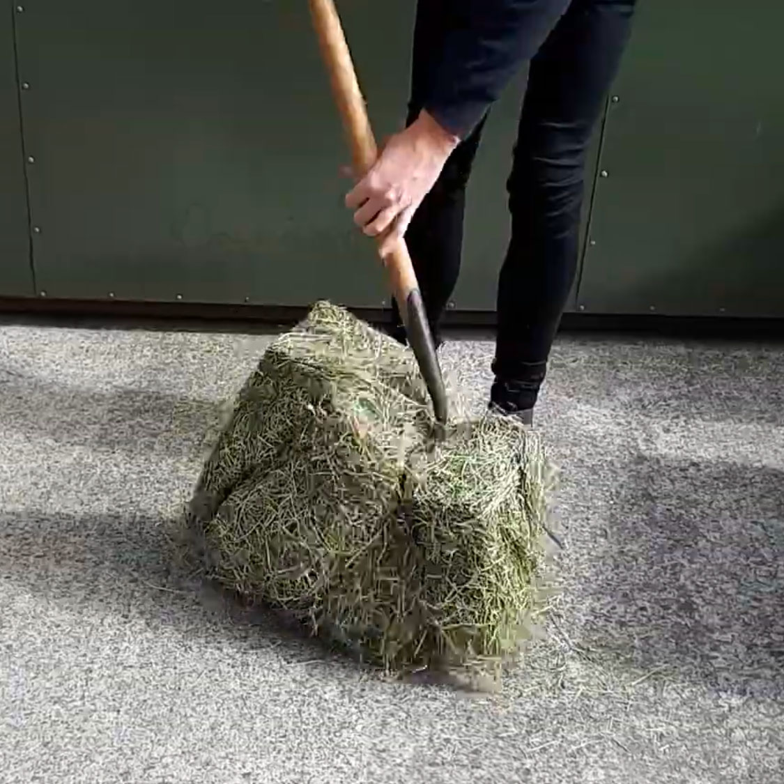 Dust Free Hay