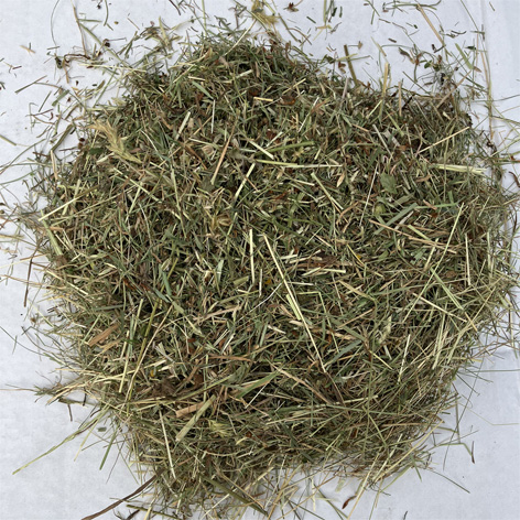 Short Hay