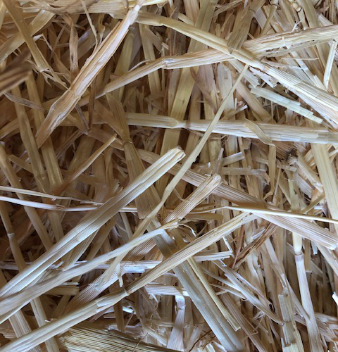 straw1
